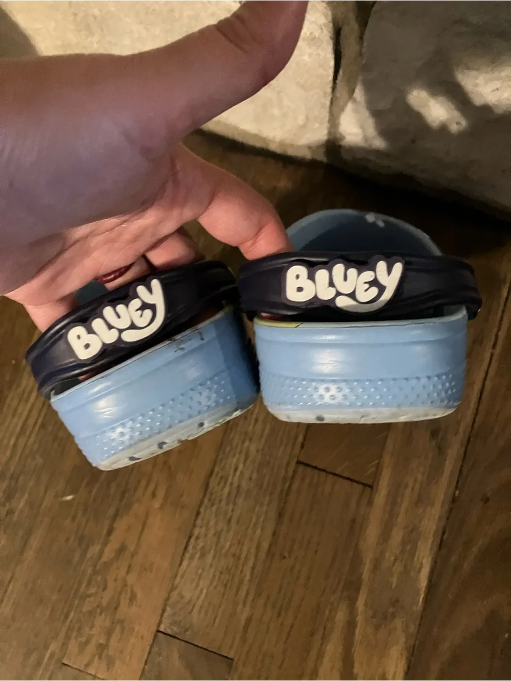 Bluey-Themed Kids Slip-On Crocs